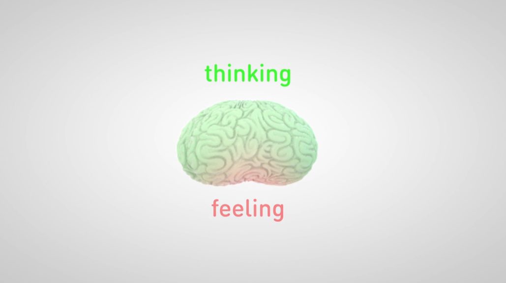 Brain-Friendly Organisational Programmes
