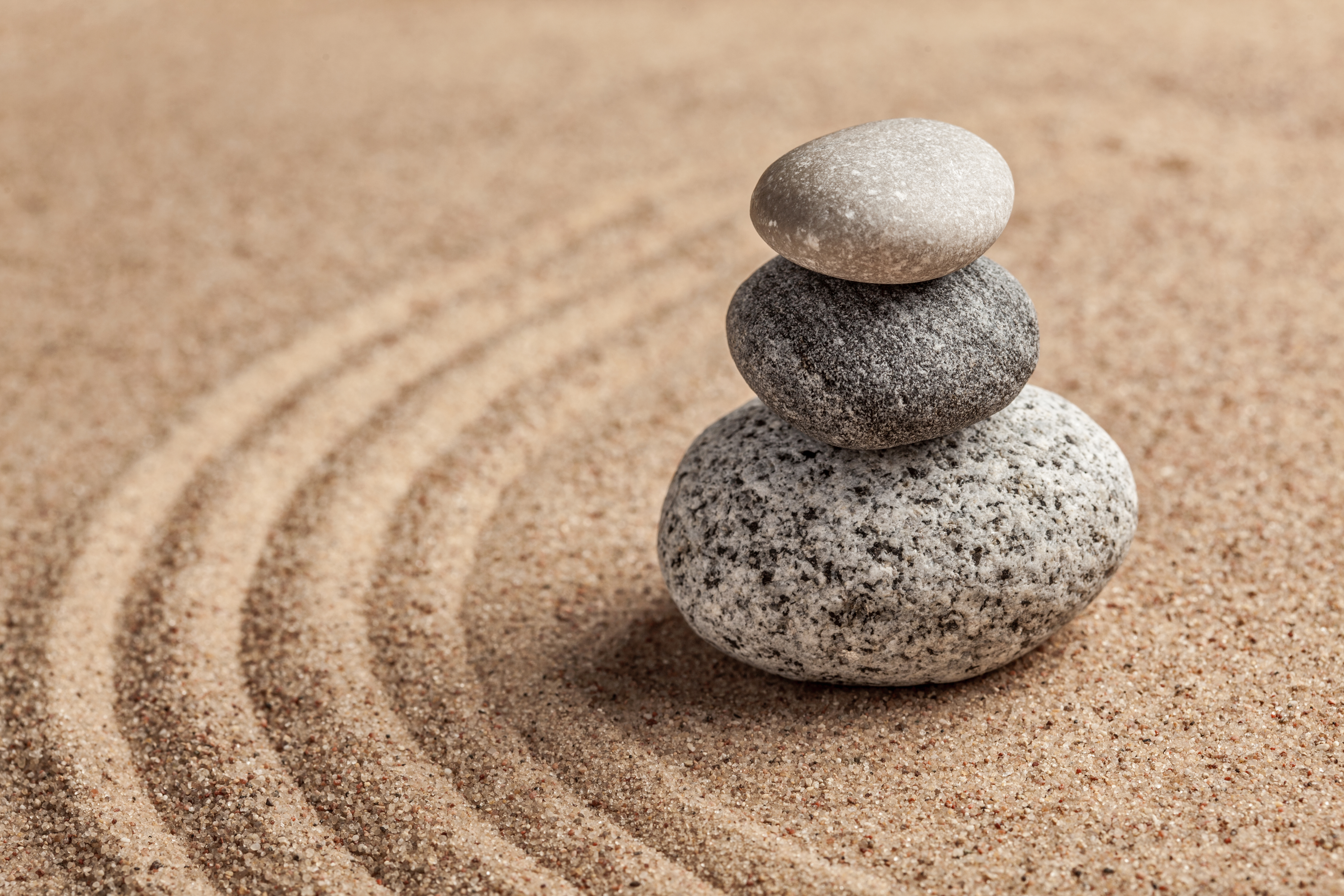 From Complexity to Simplicity